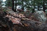 009_2009-0522-0937-13.jpg