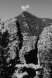 026_2009-0529-0848-54.jpg
