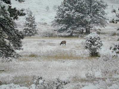 P003-1999-0928-1132-26EM.jpg