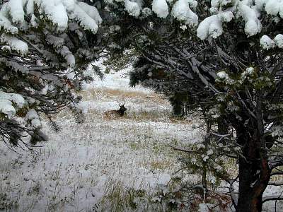 P008-1999-0928-1242-09EM.jpg
