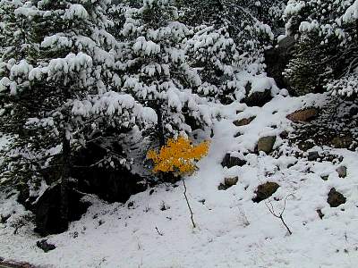P012-1999-0928-1306-22EM.jpg