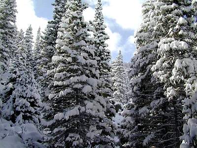 P015-1999-0928-1339-36EM.jpg