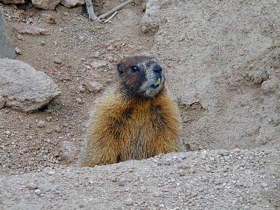 P76-2000-0804-1429-40EM.jpg