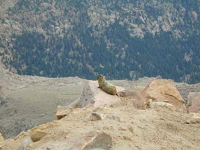 P83-2000-0804-1240-30EM.jpg