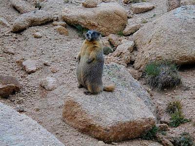 P86-2000-0804-1430-30EM.jpg