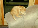 P18-2001-0521-1622-24EM.jpg