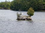 P20-2001-0528-0857-40EM.jpg