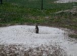 P03-2001-0601-0934-18EM.jpg