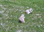 P08-2001-0601-0938-38EM.jpg