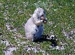 P11-2001-0601-0940-07EM.jpg