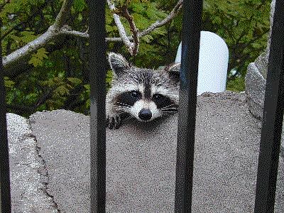 P02-2001-0517-1401-20WP-AN.gif