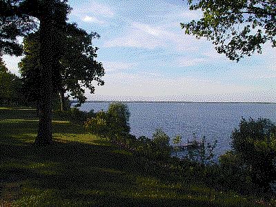 P03-2001-0524-1447-56WP-AN.gif