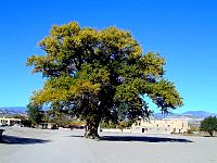 P16-P21-2001-1015-0944-42A-EM.jpg