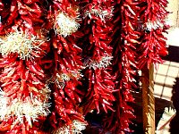 P16-2001-1013-1322-41A-EM.jpg
