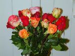 02_2004-0507-0953-50A-EM.jpg