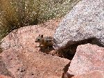 2004-0613-1005-19A-EM.jpg