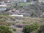 09_2006-0219-1622-21A-EM.jpg