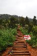 001_2009-0522-0754-30.jpg
