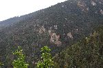 005_2009-0522-0755-36.jpg
