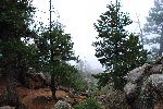 006_2009-0522-0934-55.jpg