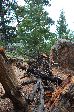 010_2009-0522-0938-52.jpg