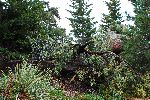 012_2009-0522-0941-54.jpg