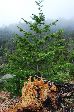 016_2009-0522-0946-26.jpg