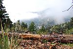 017_2009-0522-0947-20.jpg