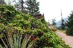 021_2009-0522-0958-38.jpg