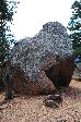022_2009-0522-1009-00.jpg