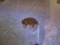 14_2011-0609-1053-12.jpg