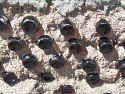 08_2011-0609-1424-27.jpg