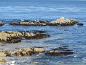 032_2013-1014-1524-38.jpg