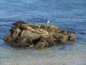 034_2013-1014-1528-42.jpg