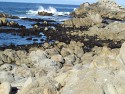 048_2013-1014-1608-03.jpg
