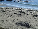 093_2013-1015-1610-43.jpg