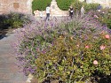 154_2013-1019-1701-14.jpg
