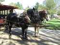 09_2016-1005-0959-42.jpg