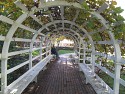13_2016-1005-1030-28.jpg