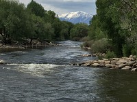 73_IMG_0501.JPG