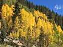 02_2017-09-20-1054-06.jpg
