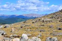 14_2018-08-26-0925-17.jpg