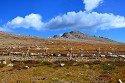 45_2018-08-26-0947-22.jpg