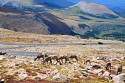 61_2018-08-26-1022-37.jpg