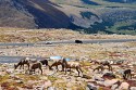 62_2018-08-26-1022-35.jpg