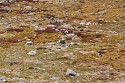 74_2018-08-26-1058-42.jpg