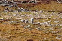 75_2018-08-26-1058-46.jpg