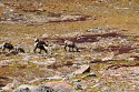 76_2018-08-26-1058-58.jpg