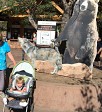 IMG_2665(1)_crop.jpg