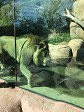 IMG_2681.JPG